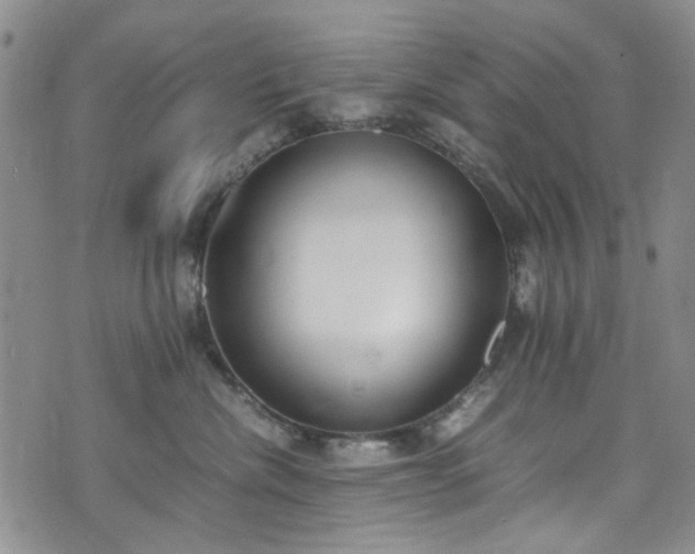 X0000071930476200607141405