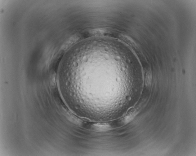 X0000071930477200607141405