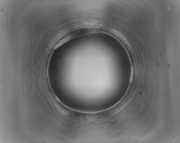 X0000071930481200607141404