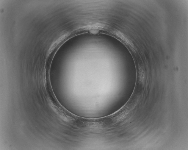 X0000071930486200607141404