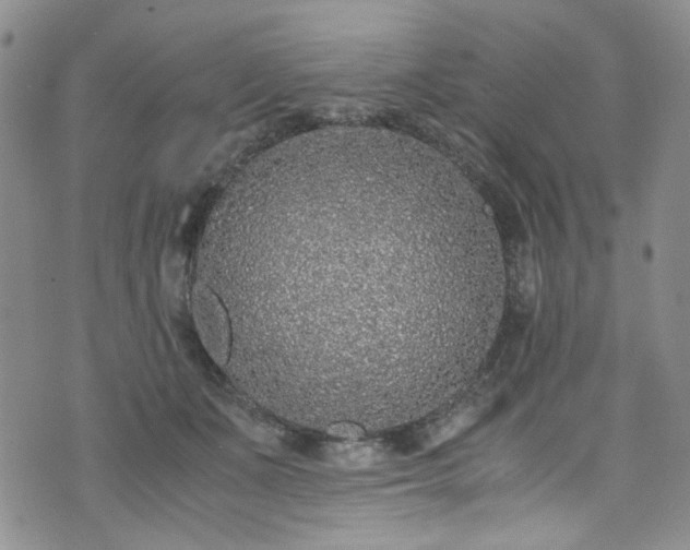 X0000071930511200607141403