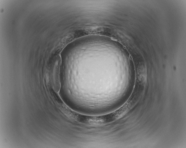 X0000071930515200607141403