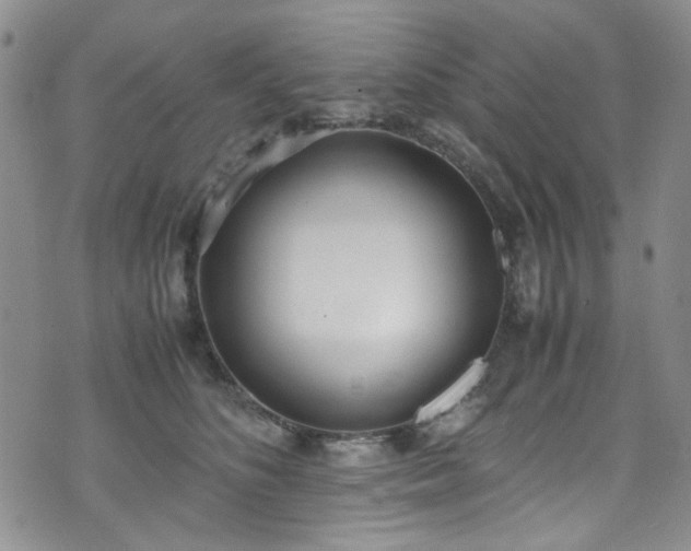 X0000071930516200607141403