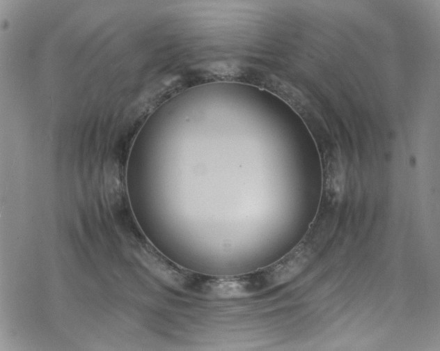 X0000071930518200607141403