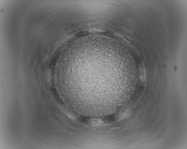 X0000071930519200607141403