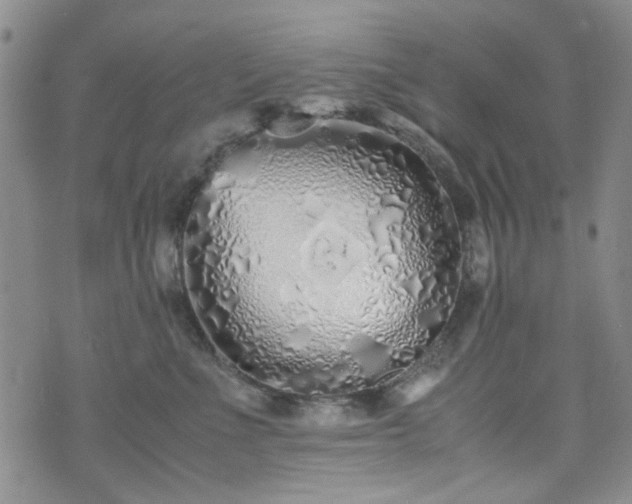 X0000071930523200607141403