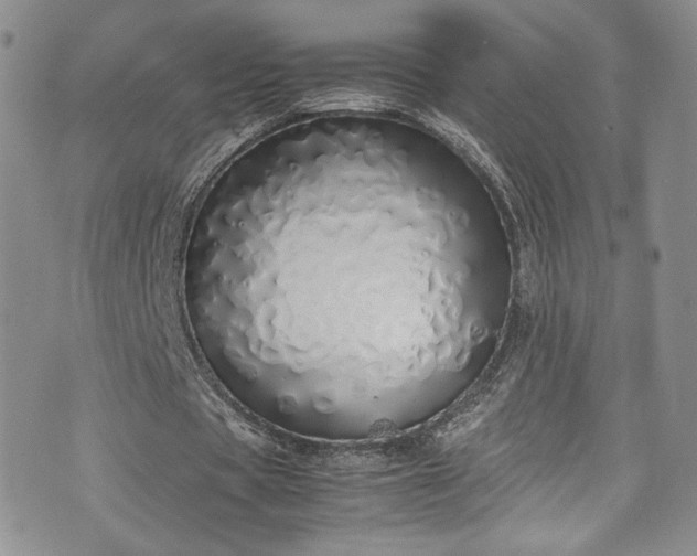 X0000071930529200607141402