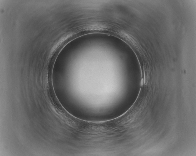 X0000071930531200607141402