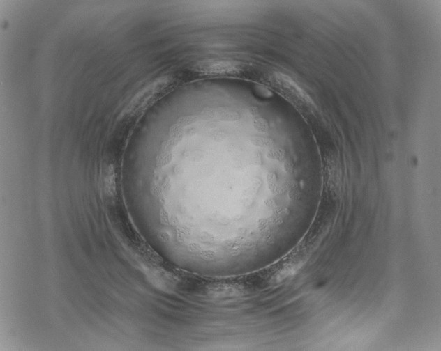 X0000071930549200607141403