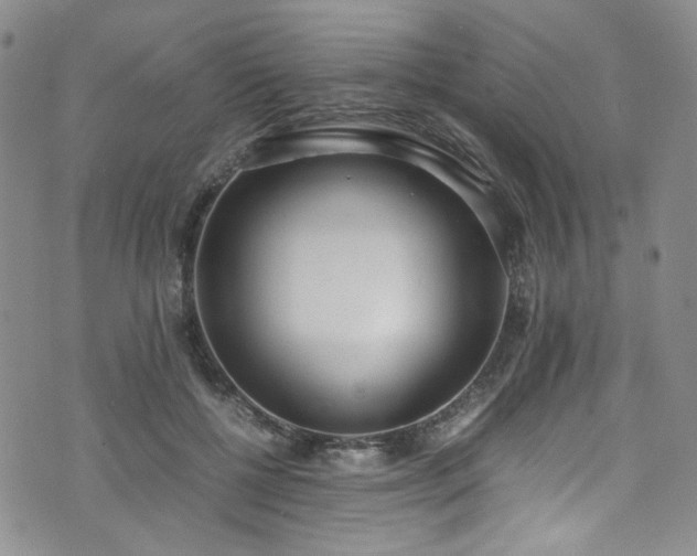 X0000071930552200607141403