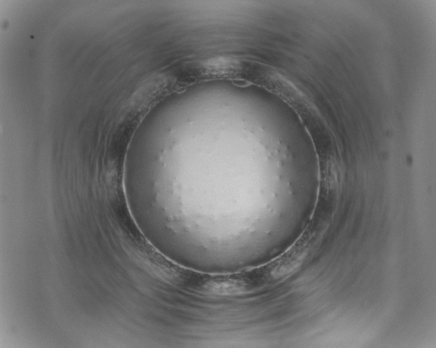 X0000071930557200607141403
