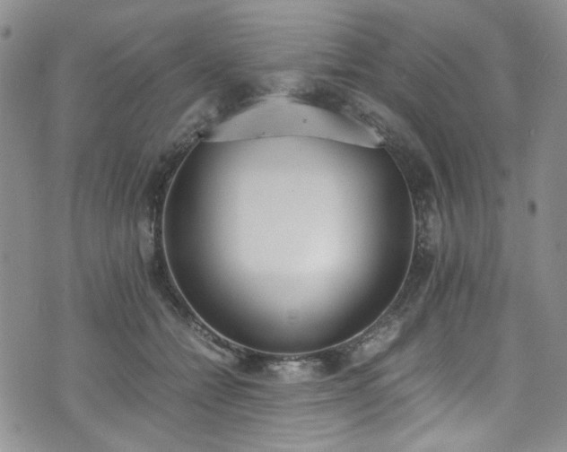 X0000071930558200607141403