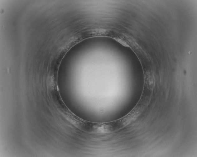 X0000071930564200607141403