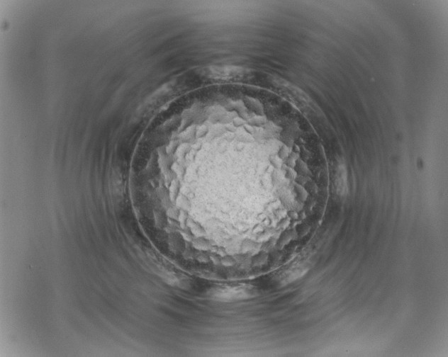 X0000071930569200607141403