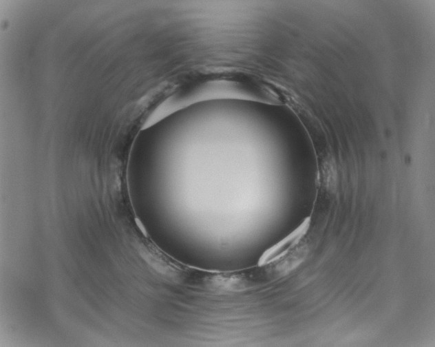 X0000071930570200607141403