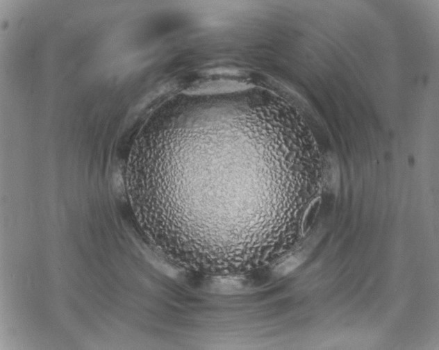 X0000071930573200607141403