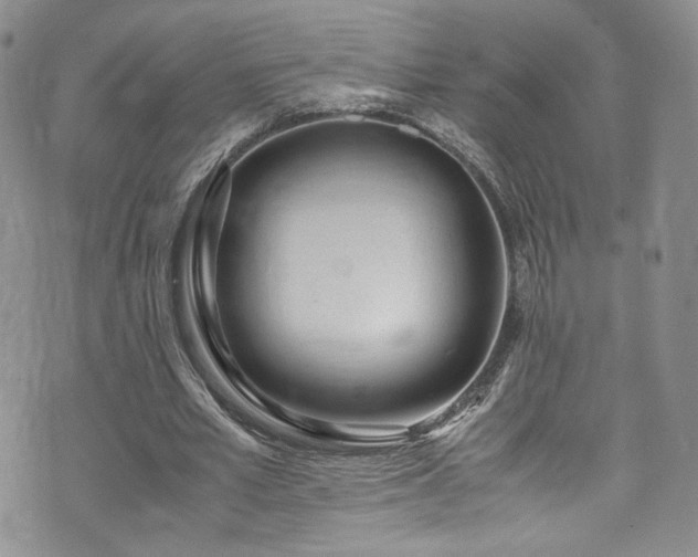 X0000071930581200607141402