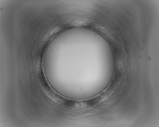 X0000071930591200607141402