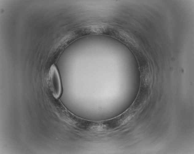 X0000071930595200607141402