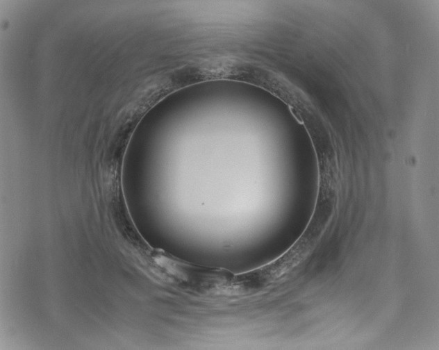 X0000071930601200607141402