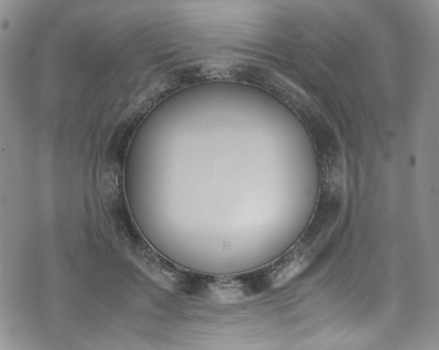 X0000071930603200607141402