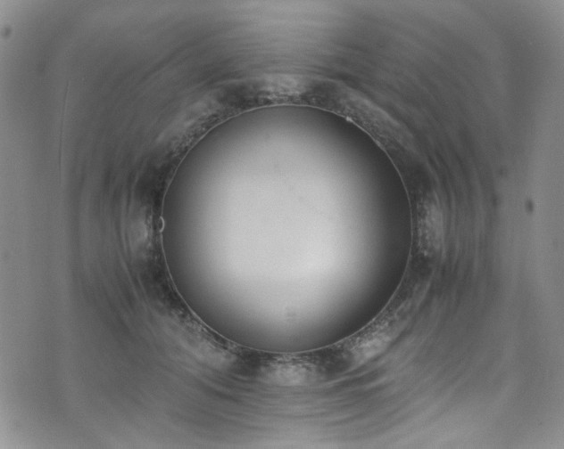 X0000071930608200607141402