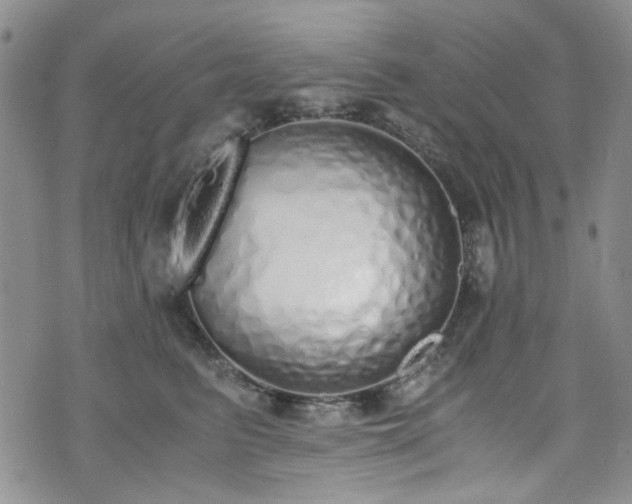 X0000071930615200607141402