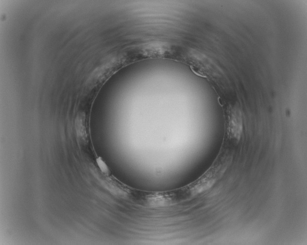 X0000071930616200607141402