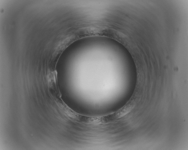 X0000071930624200607141402