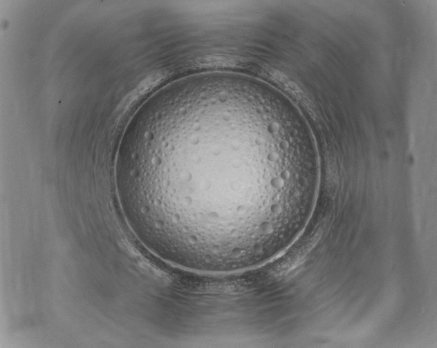 X0000071930625200607141401