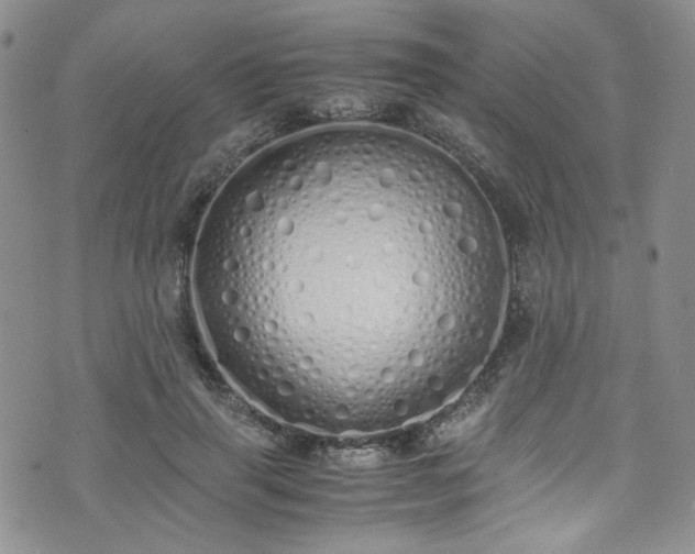 X0000071930645200607141401