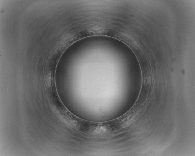 X0000071930647200607141401