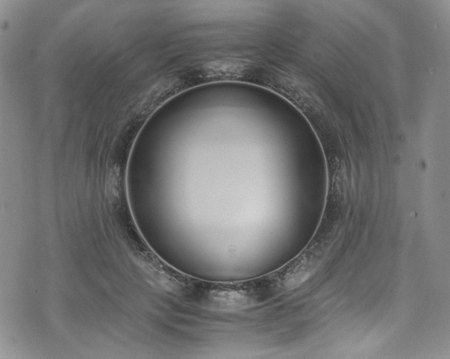 X0000071930649200607141401