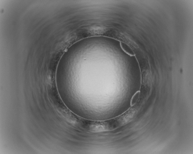X0000071930655200607141401