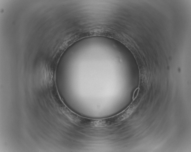 X0000071930660200607141401