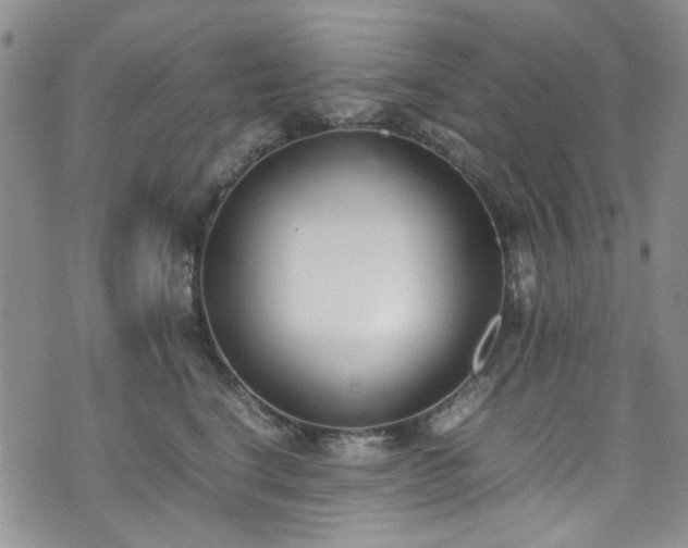 X0000071930664200607141401