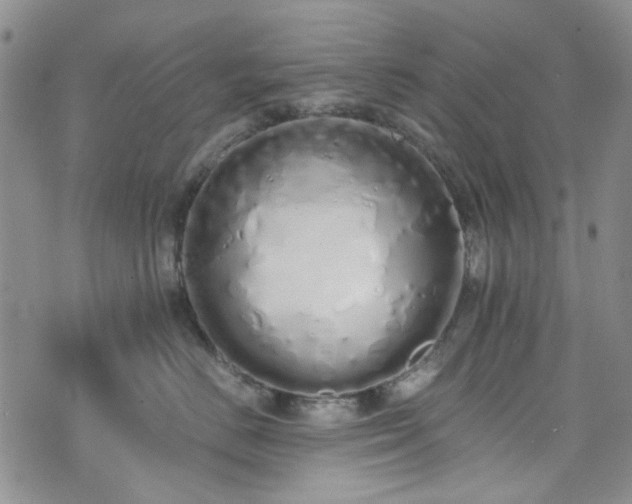 X0000071930670200607141402