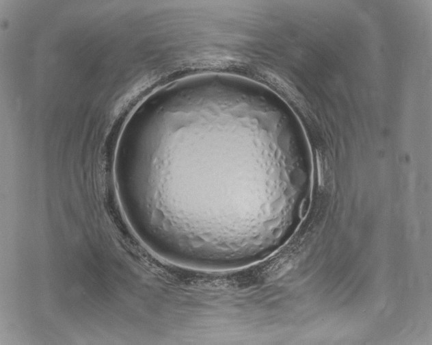 X0000071930675200607141401