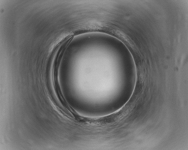 X0000071930677200607141401