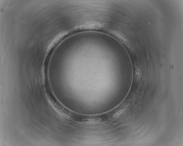 X0000071930678200607141401