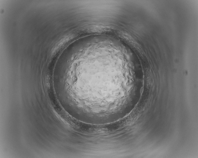 X0000071930683200607141401