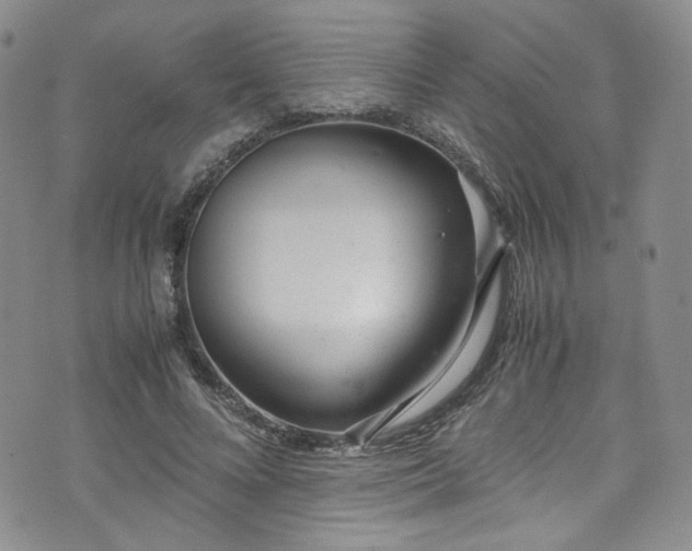 X0000071930688200607141401