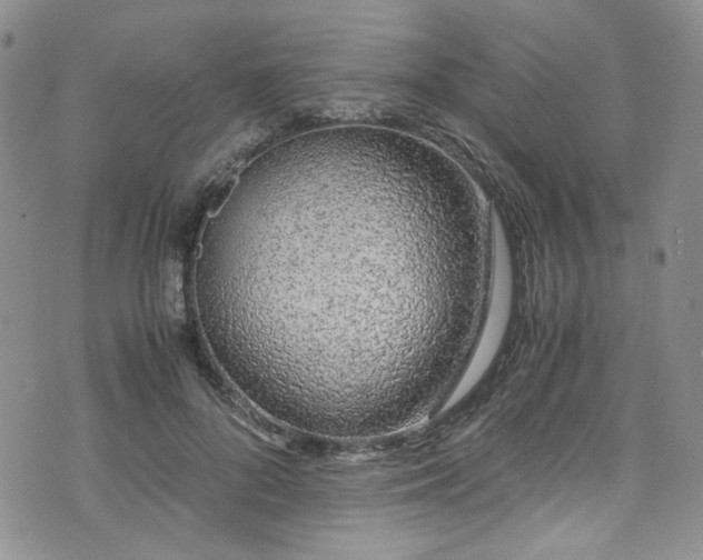 X0000071930696200607141400