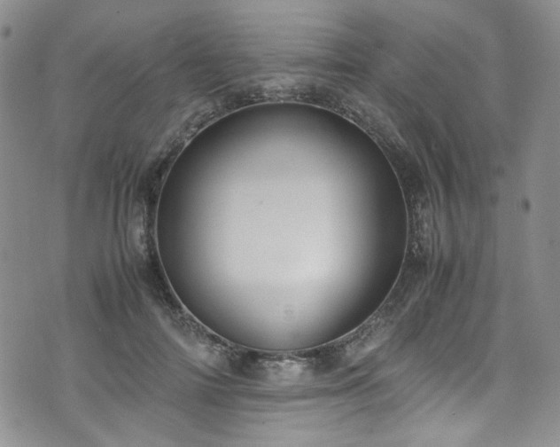 X0000071930698200607141400