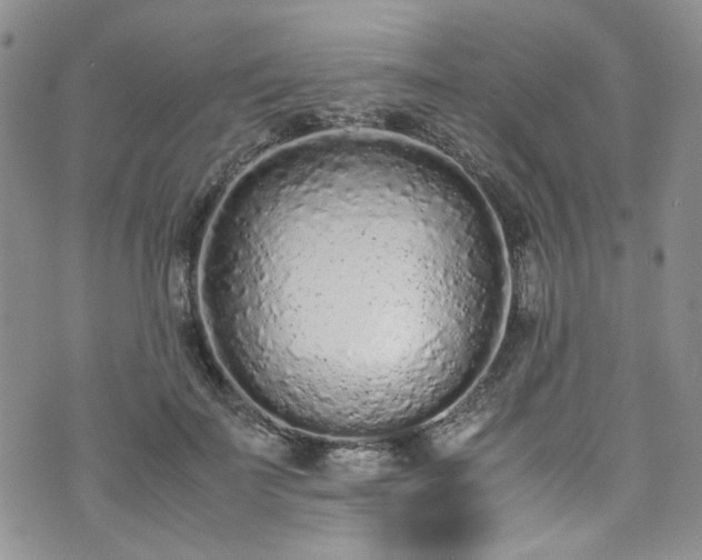 X0000071930699200607141400