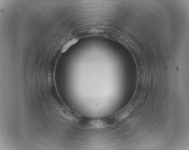 X0000071930704200607141400