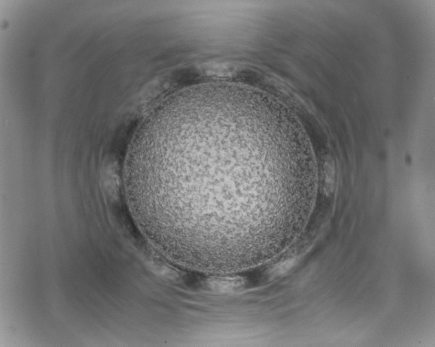 X0000071930707200607141400