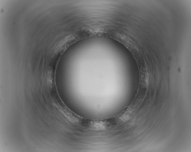X0000071930710200607141400