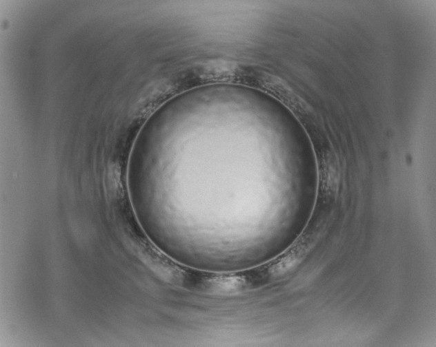 X0000071930711200607141400