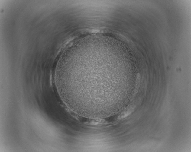 X0000071930720200607141400